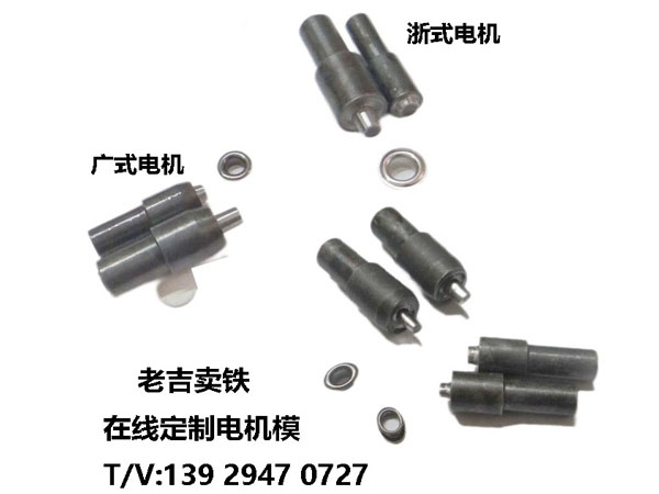 電機模，還分浙江和廣東和其他類型你知道嗎？